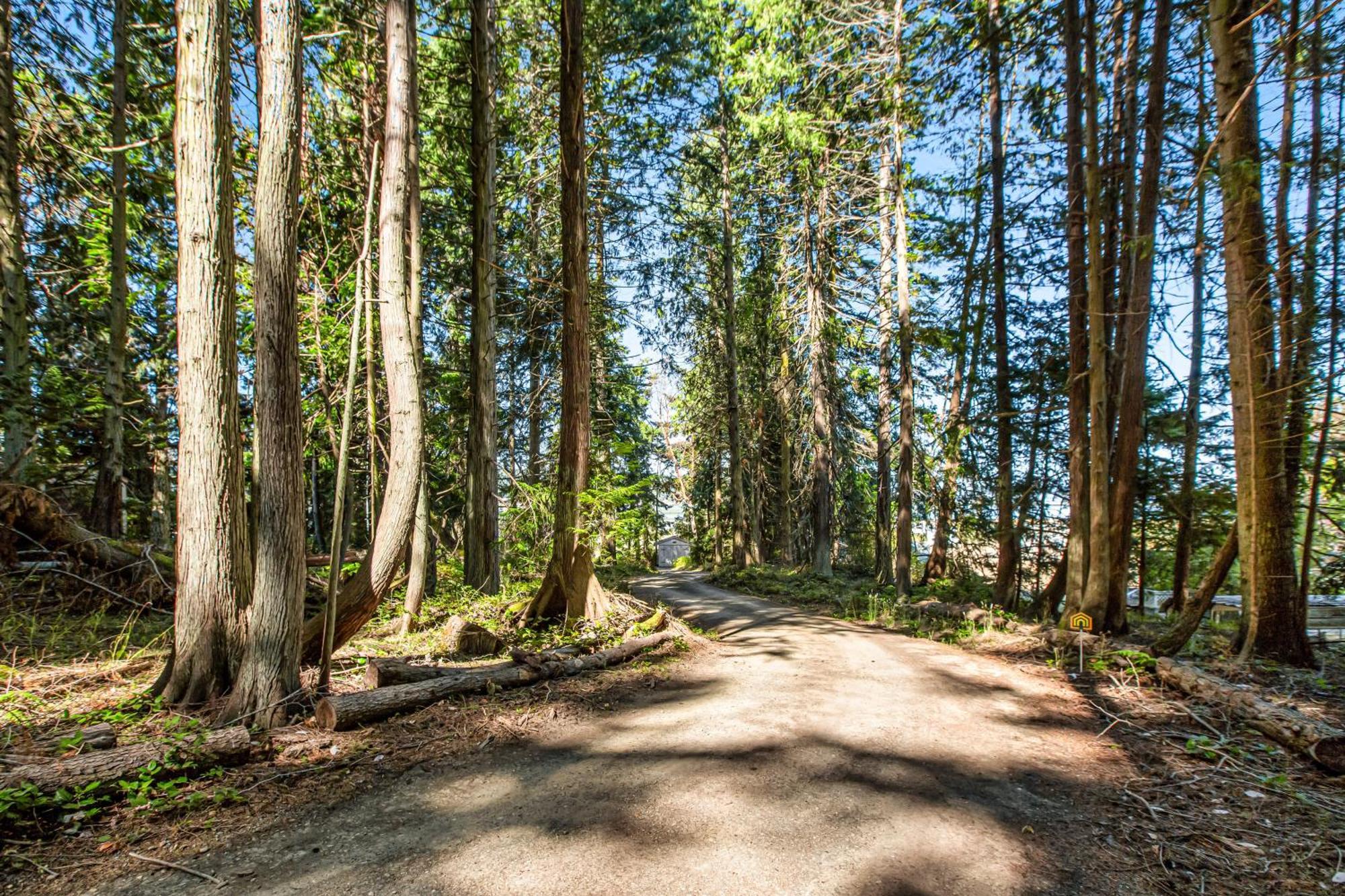 Marrowstone Island Beach Cabin エクステリア 写真